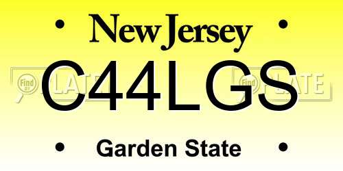 C44LGS New Jersey License Plate