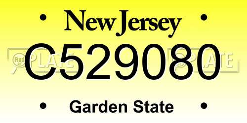 C529080 New Jersey License Plate