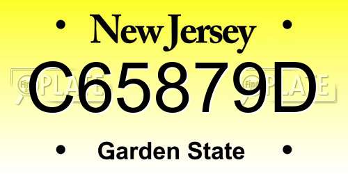 C65879D New Jersey License Plate