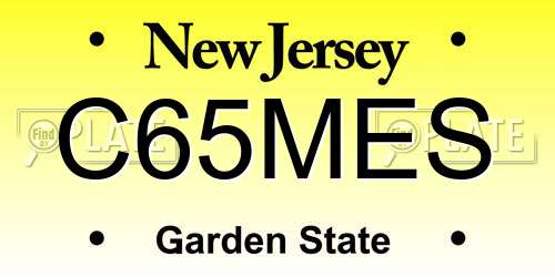 C65MES New Jersey License Plate