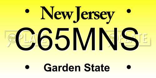 C65MNS New Jersey License Plate
