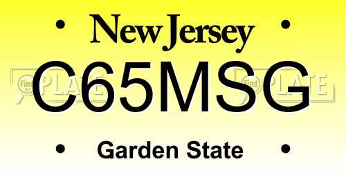 C65MSG New Jersey License Plate