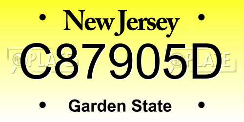 C87905D New Jersey License Plate