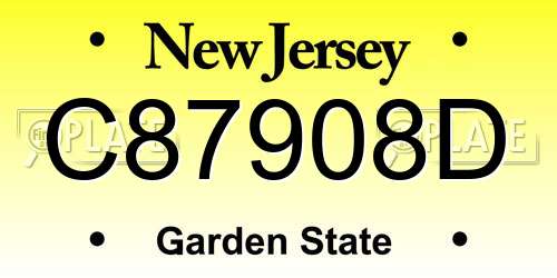 C87908D New Jersey License Plate