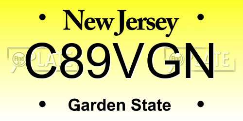 C89VGN New Jersey License Plate