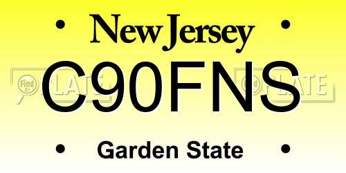 C90FNS New Jersey License Plate