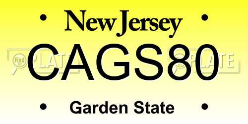 CAGS80 New Jersey License Plate