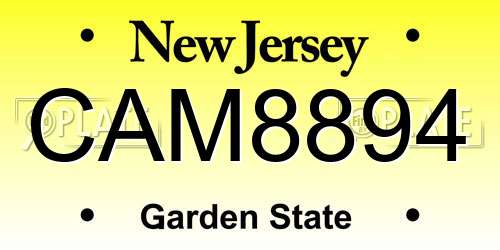 CAM8894 New Jersey License Plate
