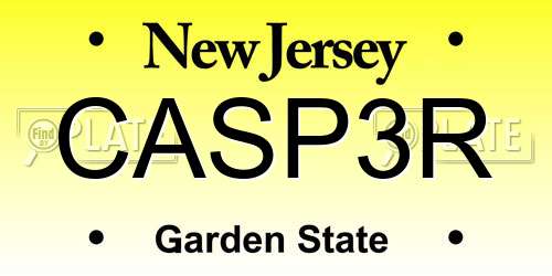 CASP3R New Jersey License Plate