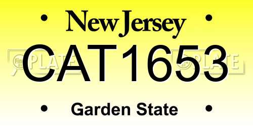 CAT1653 New Jersey License Plate