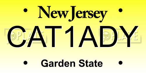 CAT1ADY New Jersey License Plate