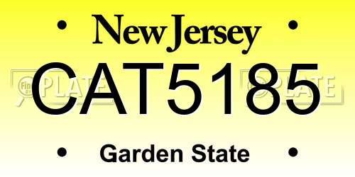 CAT5185 New Jersey License Plate