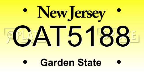 CAT5188 New Jersey License Plate