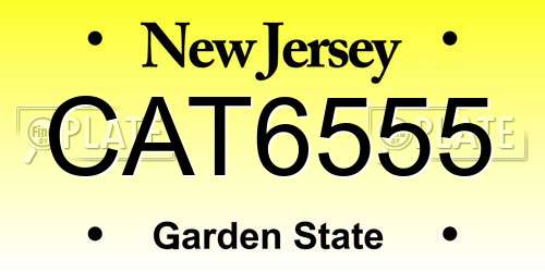 CAT6555 New Jersey License Plate