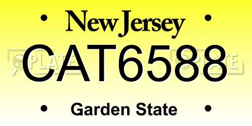 CAT6588 New Jersey License Plate