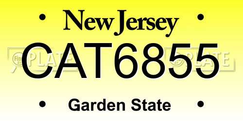 CAT6855 New Jersey License Plate