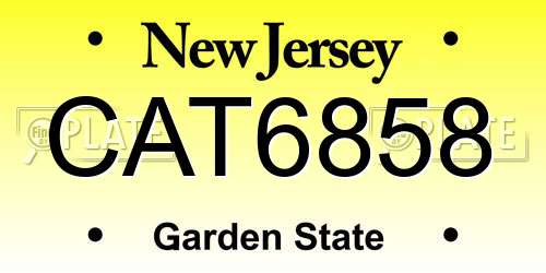 CAT6858 New Jersey License Plate