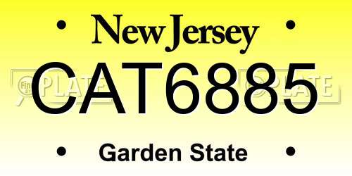 CAT6885 New Jersey License Plate