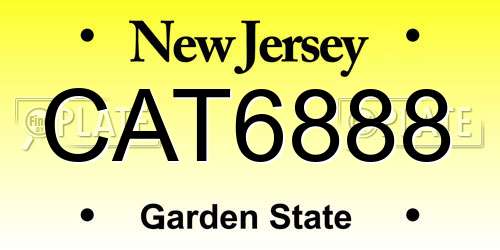 CAT6888 New Jersey License Plate
