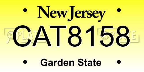 CAT8158 New Jersey License Plate