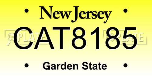 CAT8185 New Jersey License Plate