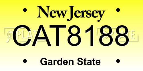 CAT8188 New Jersey License Plate