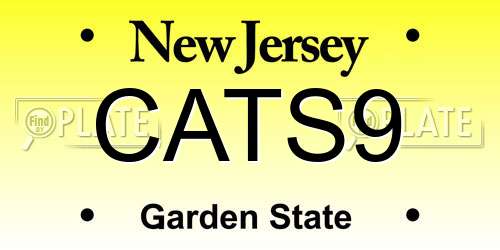 CATS9 New Jersey License Plate