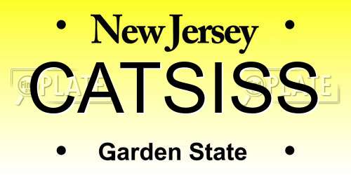 CATSISS New Jersey License Plate