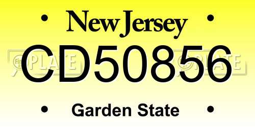 CD50856 New Jersey License Plate