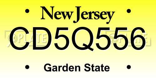 CD5Q556 New Jersey License Plate