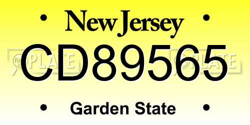 CD89565 New Jersey License Plate