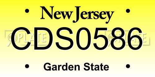 CDS0586 New Jersey License Plate