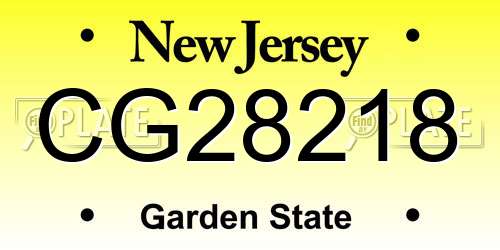 CG28218 New Jersey License Plate