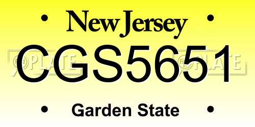 CGS5651 New Jersey License Plate