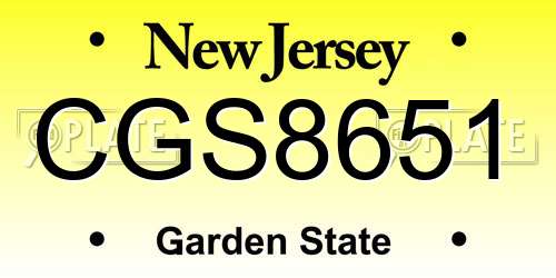 CGS8651 New Jersey License Plate