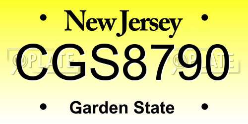 CGS8790 New Jersey License Plate