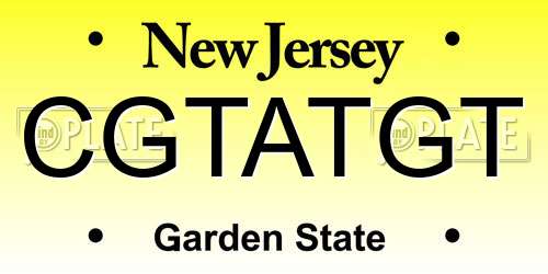 CGTATGT New Jersey License Plate