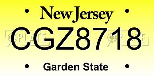 CGZ8718 New Jersey License Plate
