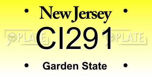 CI291 New Jersey License Plate
