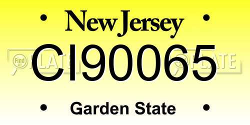 CI90065 New Jersey License Plate
