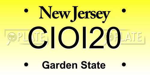 CIOI20 New Jersey License Plate