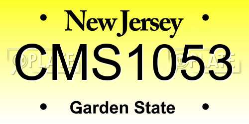 CMS1053 New Jersey License Plate