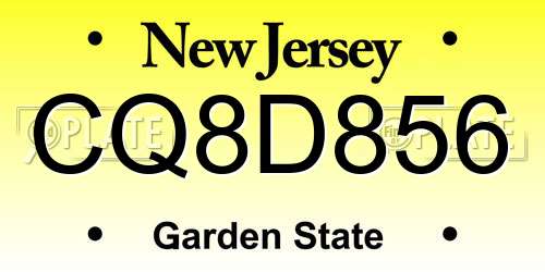 CQ8D856 New Jersey License Plate