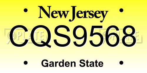 CQS9568 New Jersey License Plate