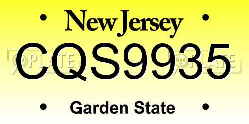 CQS9935 New Jersey License Plate