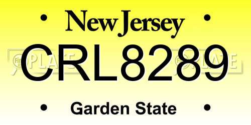 CRL8289 New Jersey License Plate