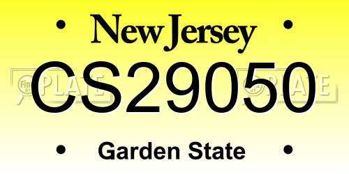 CS29050 New Jersey License Plate