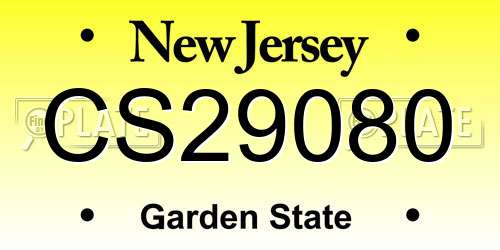 CS29080 New Jersey License Plate