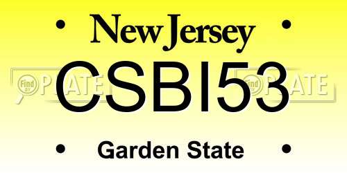CSBI53 New Jersey License Plate