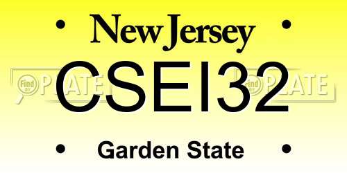 CSEI32 New Jersey License Plate